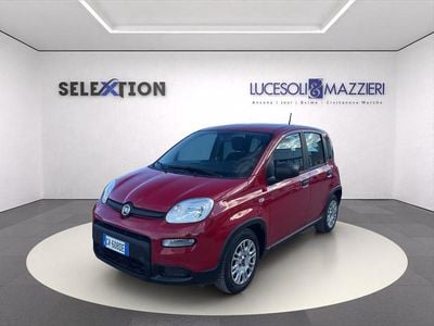 Usata Fiat Panda 70 CV (51 kW) 2024 Rosso Utilitaria