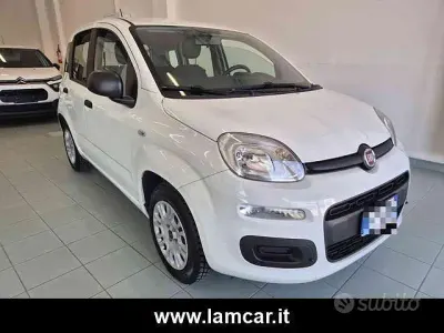 Usata Fiat Panda 69 CV (50 kW) 2020 Bianco pastello Utilitaria