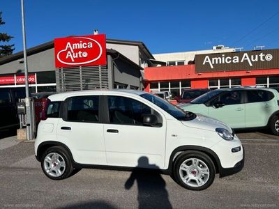 usata Fiat Panda Panda 1.01.0 FireFly S&S Hybrid