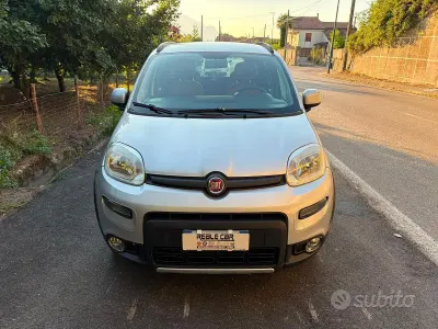 Usata Fiat Panda 4x4 S 75 CV (55 kW) 2013 Grigio Utilitaria
