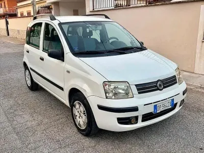 Usata Fiat Panda Dynamic 60 CV (44 kW) 2009 Bianco Utilitaria