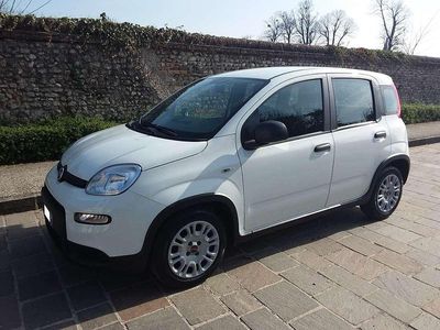Usata Fiat Panda S 69 CV (50 kW) 2024 Bianco Utilitaria