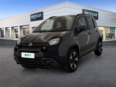 usata Fiat Panda Cross 1.0 FireFly 70cv S&S Hybrid SCOPRI DI PIÙ SU QUESTO VEICOLO E SULLE MODALITÀ DI CONSEGNA