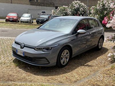 usata VW Golf VIII Golf 2.0 TDI 1st Edition Life