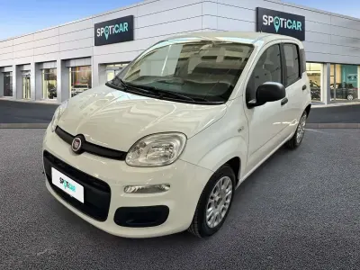 Usata Fiat Panda S 69 CV (50 kW) 2021 Bianco Utilitaria