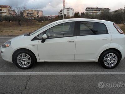 usata Fiat Punto Evo 