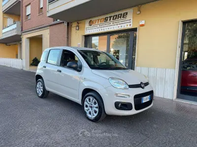 Usata Fiat Panda Young 80 CV (58 kW) 2015 Beige Utilitaria