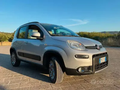 Usata Fiat Panda 4x4 S 75 CV (55 kW) 2013 Grigio Utilitaria