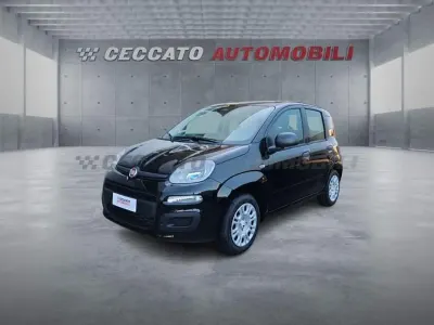Nuova Fiat Panda Icon 65 CV (47 kW) 2026 Nero Utilitaria