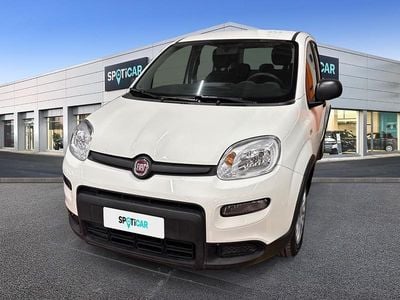 Usata Fiat Panda S 70 CV (51 kW) 2023 Bianco Utilitaria