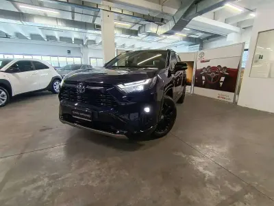 Usata Toyota RAV4 Hybrid