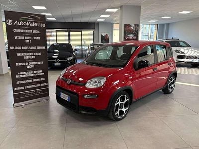 Usata Fiat Panda Sport 71 CV (52 kW) 2021 Rosso Utilitaria