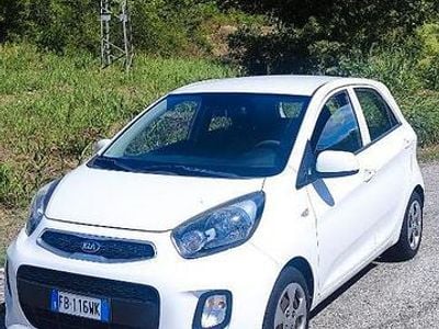 Usata Kia Picanto 65 CV (47 kW) 2015 Bianco Utilitaria