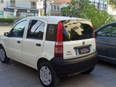 usata Fiat Panda 1.2 usato