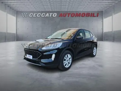 Usata Ford Kuga