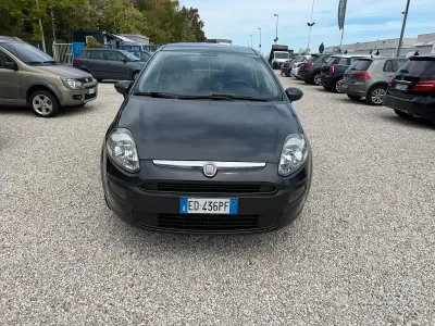 Usata Fiat Punto Evo Active 65 CV (47 kW) 2010 Grigio Utilitaria