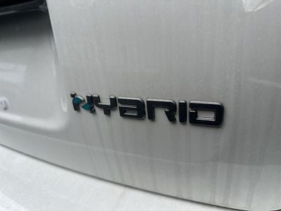 Usata Fiat Panda Cross 65 CV (47 kW) 2025 Grigio Berlina