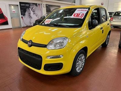 Nuova Fiat Panda Icon 69 CV (50 kW) 2025 Giallo Utilitaria