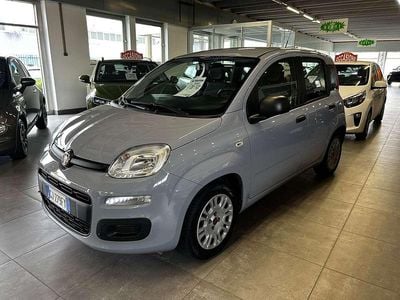 Usata Fiat Panda 69 CV (50 kW) 2022 Grigio Utilitaria