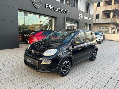 usata Fiat Panda 1.0 FireFly S&S Hybrid City Life