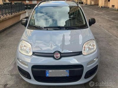 Usata Fiat Panda Easy 69 CV (50 kW) 2019 Grigio Utilitaria