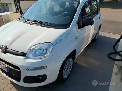 Gebraucht Fiat Panda 69 PS (50 kW) 2018 Weiß Kleinwagen