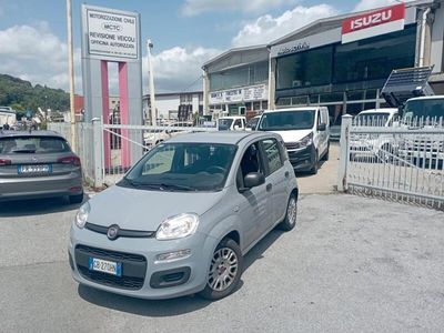 Usata Fiat Panda Easy 71 CV (52 kW) 2020 Grigio Utilitaria