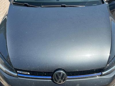 Usata VW Golf VII Executive 110 CV (80 kW) 2018 Grigio Berlina