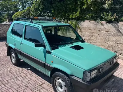 Usata Fiat Panda 4x4 Climbing 54 CV (39 kW) 2003 Verde Utilitaria