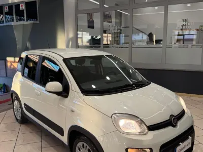 Usata Fiat Panda Easy 70 CV (51 kW) 2020 Bianco Utilitaria