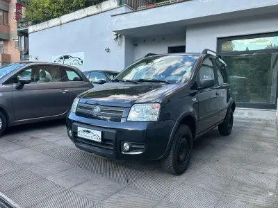 Usata Fiat Panda 4x4