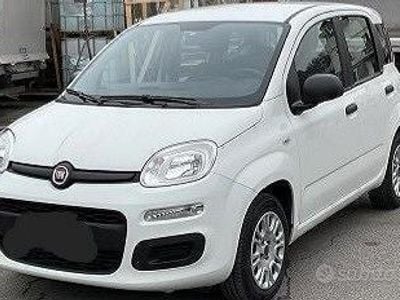 Usata Fiat Panda 69 CV (50 kW) 2020 Bianco Utilitaria