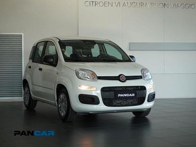 Nuova Fiat Panda S 69 CV (50 kW) 2025 Bianco Utilitaria