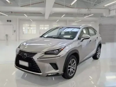 Usata Lexus NX300h 154 CV (113 kW) 2020 SUV