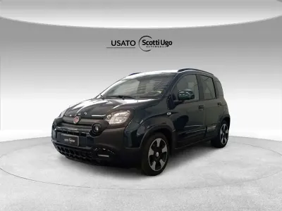 Usata Fiat Panda Cross Cross 69 CV (50 kW) 2025 Verde foresta (metallizzato) Utilitaria
