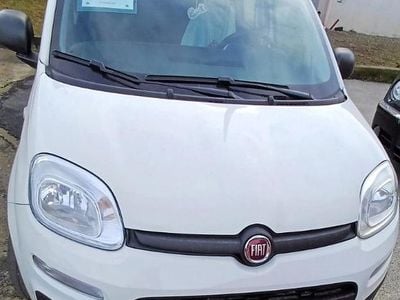 Usata Fiat Panda 69 CV (50 kW) 2020 Bianco Utilitaria
