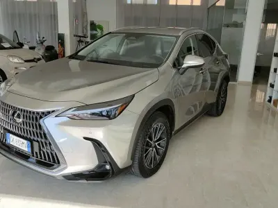 Usata Lexus NX450h+