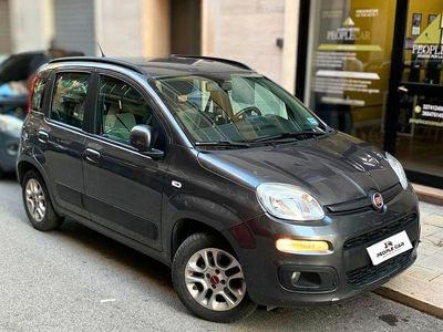 Usata Fiat Panda 69 CV (50 kW) 2019 Grigio Utilitaria