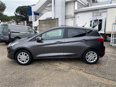 usata Ford Fiesta 1.1 75 CV 5 porte Plus