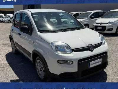 Usata Fiat Panda