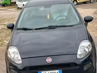 Usata Fiat Punto Lounge 69 CV (50 kW) 2015 Blu Utilitaria