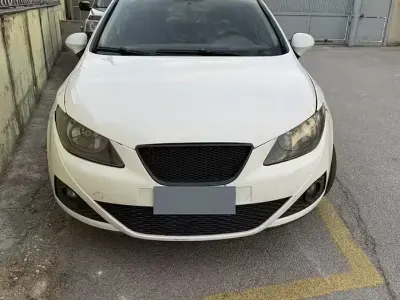 Brugt Seat Ibiza