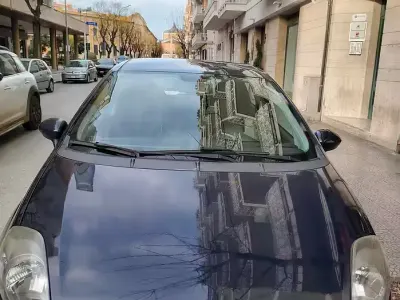 Usata Fiat Punto Evo 77 CV (56 kW) 2013 Bluazzurro Utilitaria