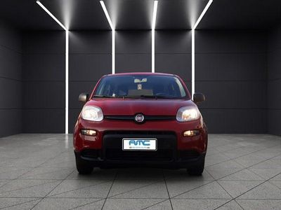 Usata Fiat Panda S 69 CV (50 kW) 2024 Rosso Utilitaria