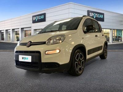 usata Fiat Panda 1.0 FireFly 70cv S&S Hybrid City Life