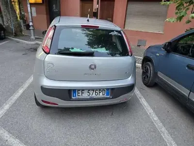 Usata Fiat Punto Evo Active 75 CV (55 kW) 2010 Utilitaria