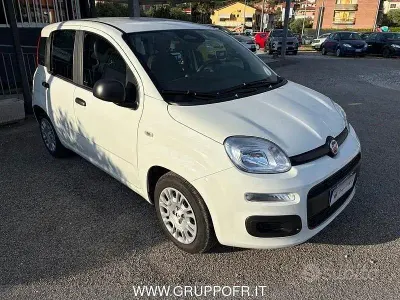 Usata Fiat Panda Icon 65 CV (47 kW) 2025 Bianco Utilitaria