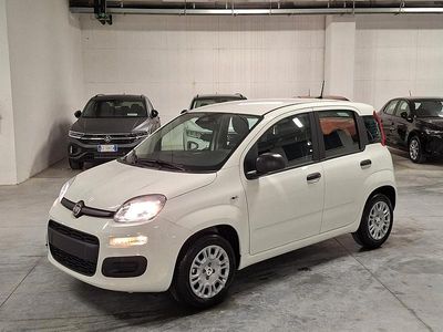 Nuova Fiat Panda Icon 70 CV (51 kW) 2025 Bianco Utilitaria