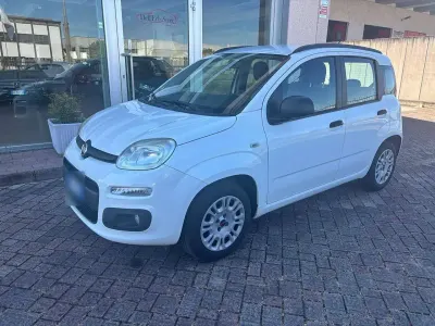 Usata Fiat Panda Lounge 69 CV (50 kW) 2013 Bianco Utilitaria