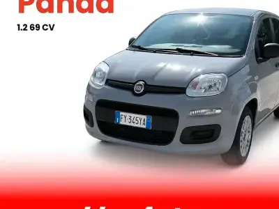 Usata Fiat Panda Easy 69 CV (50 kW) 2019 Grigio Utilitaria